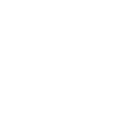 チェックアイコン