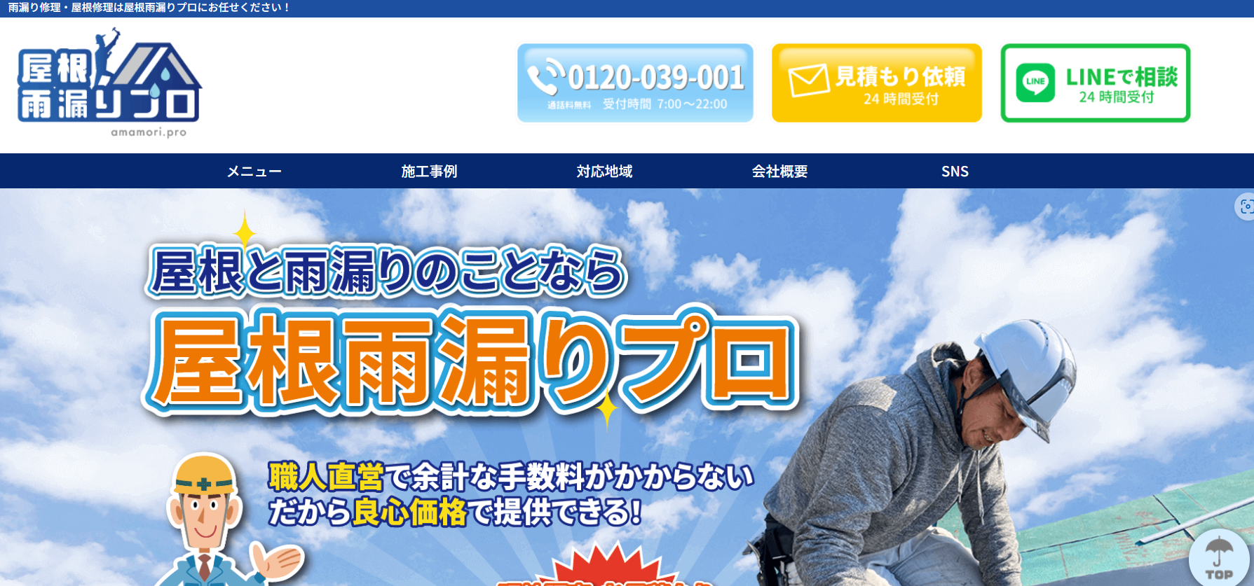 屋根雨漏りプロ