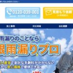 雨漏り修理プロ（amamori.pro）のロゴ