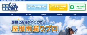 屋根雨漏りプロ