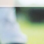 有限会社こびとの村のロゴ