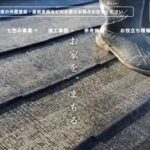 七色のロゴ